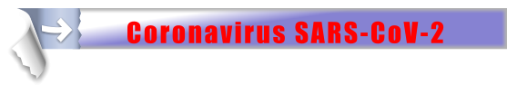 Coronavirus SARS-CoV-2